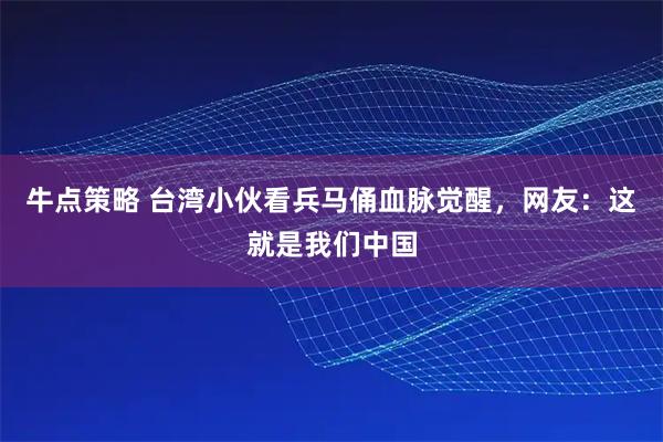 牛点策略 台湾小伙看兵马俑血脉觉醒，网友：这就是我们中国